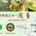 绿心周至猕猴桃