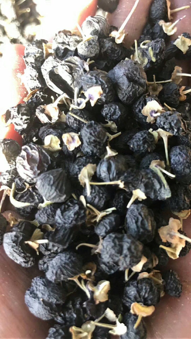 黑枸杞大颗粒