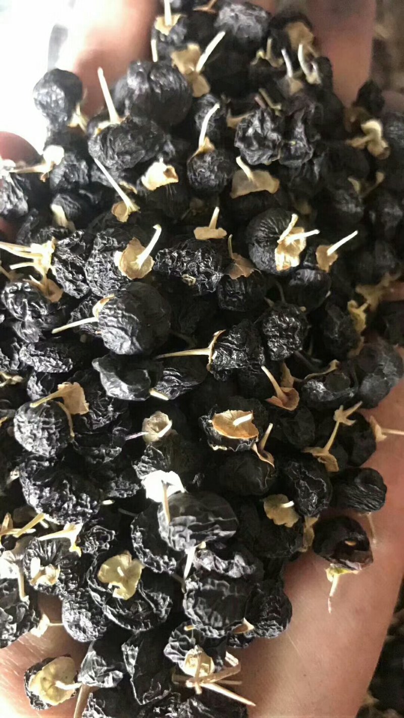 黑枸杞大颗粒