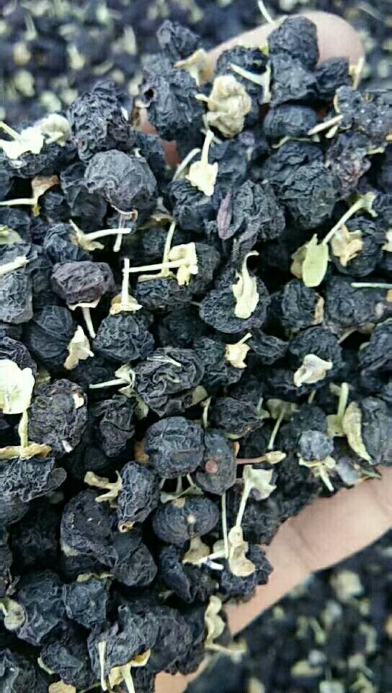 黑枸杞大颗粒