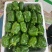 天空椒尖椒麻椒白豆豇豆茄子