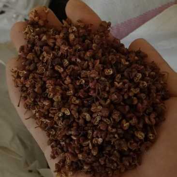 小花椒，大红袍，