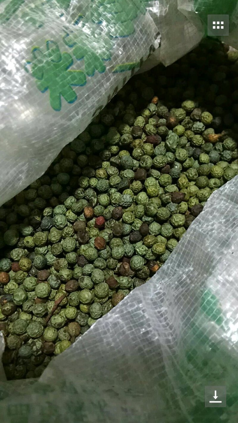 黄连木种子，生长在太行山脚下是我们这自身自长的东西