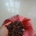 小皂角种子
