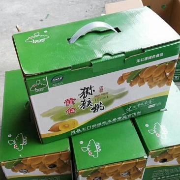 纯天然猕猴桃