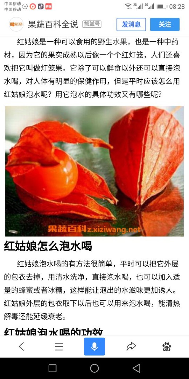 🇨🇳东北野生红菇娘《全国包邮》