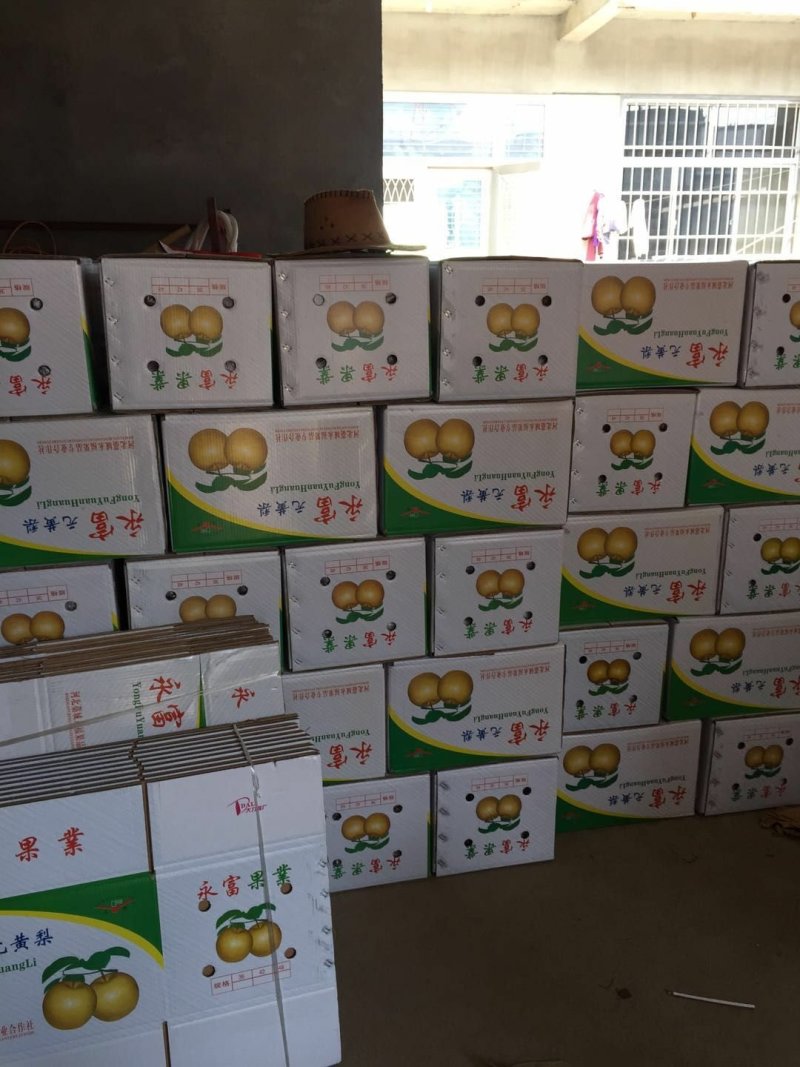 新品种上市，晚秋黄梨，对接全国各地老板产地直发货。