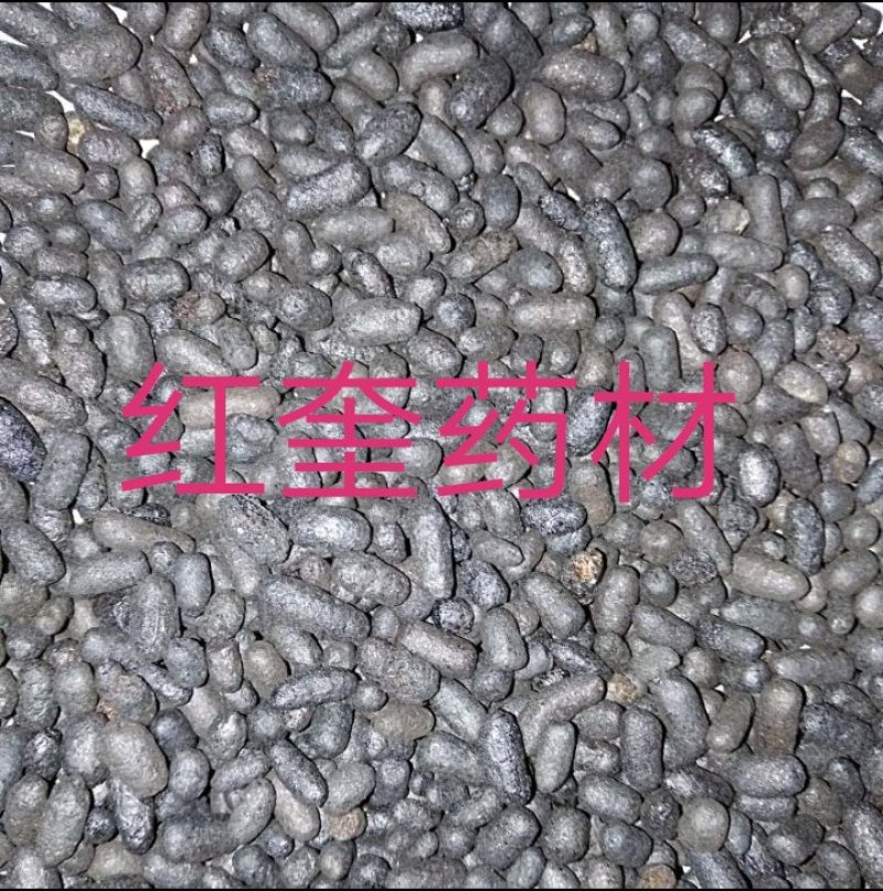 五灵脂碳药本寒号虫粪寒雀粪量大优惠