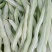 豆角质量好价格便宜有需要的联系我