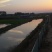 统货建湖麻鸭