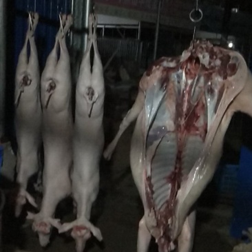 山羊肉