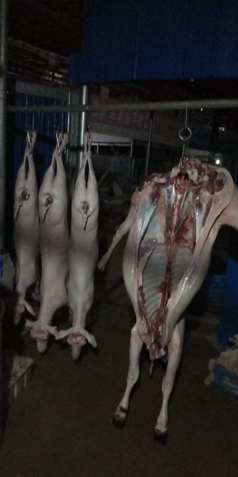 山羊肉