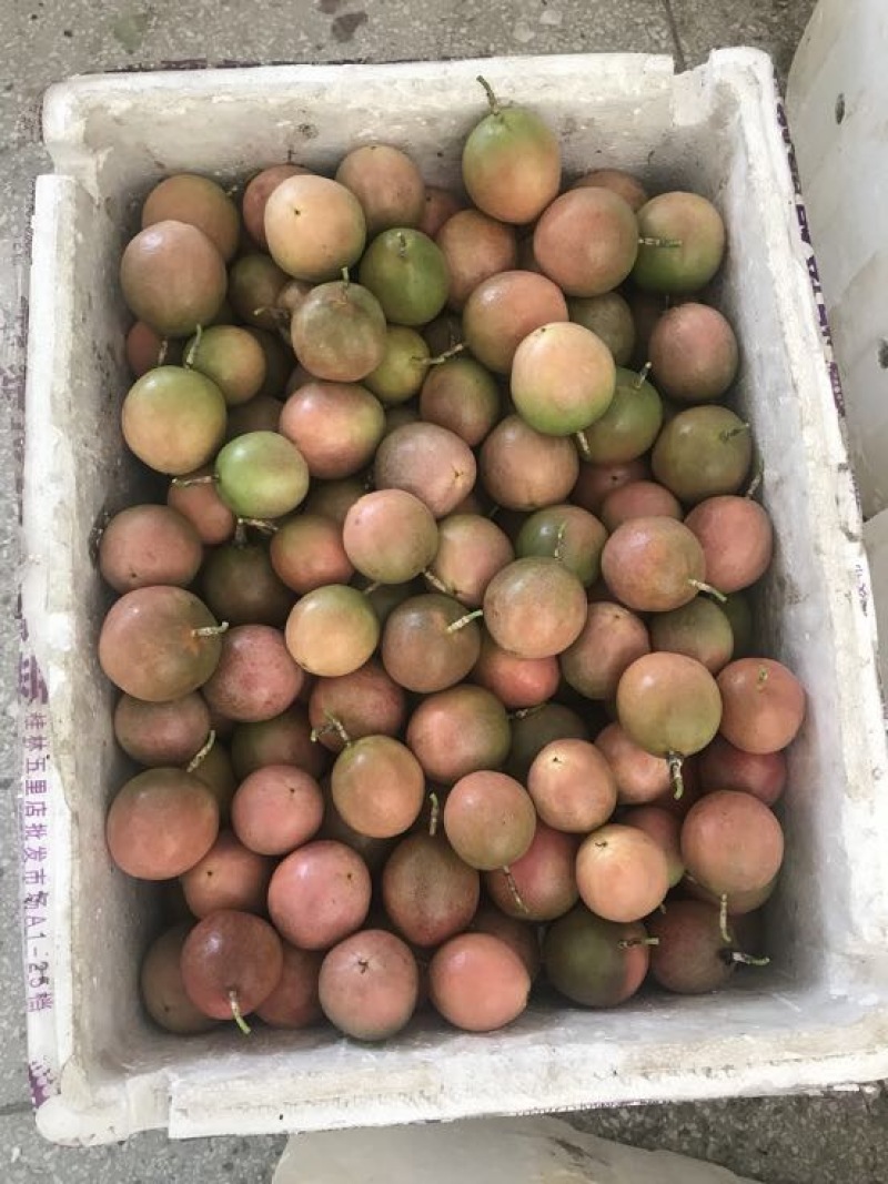 黄金百香果黄果60~70g