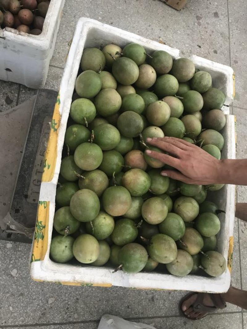 黄金百香果黄果60~70g