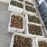 黄金百香果黄果60~70g