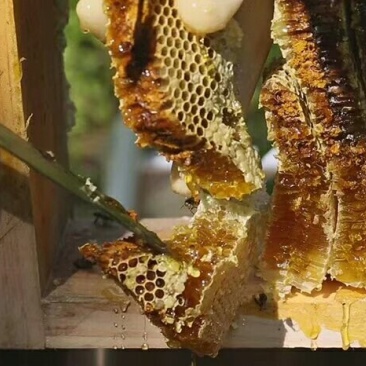包谷糖麦芽糖麻糖