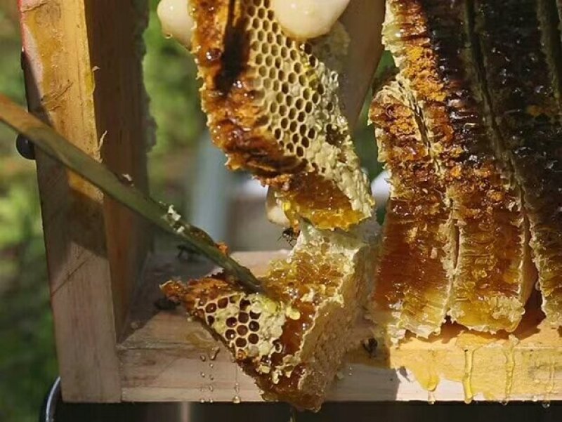 包谷糖麦芽糖麻糖