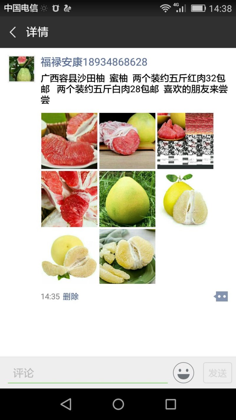 广西容县沙田柚蜜柚红肉柚一件两个装约五斤左右