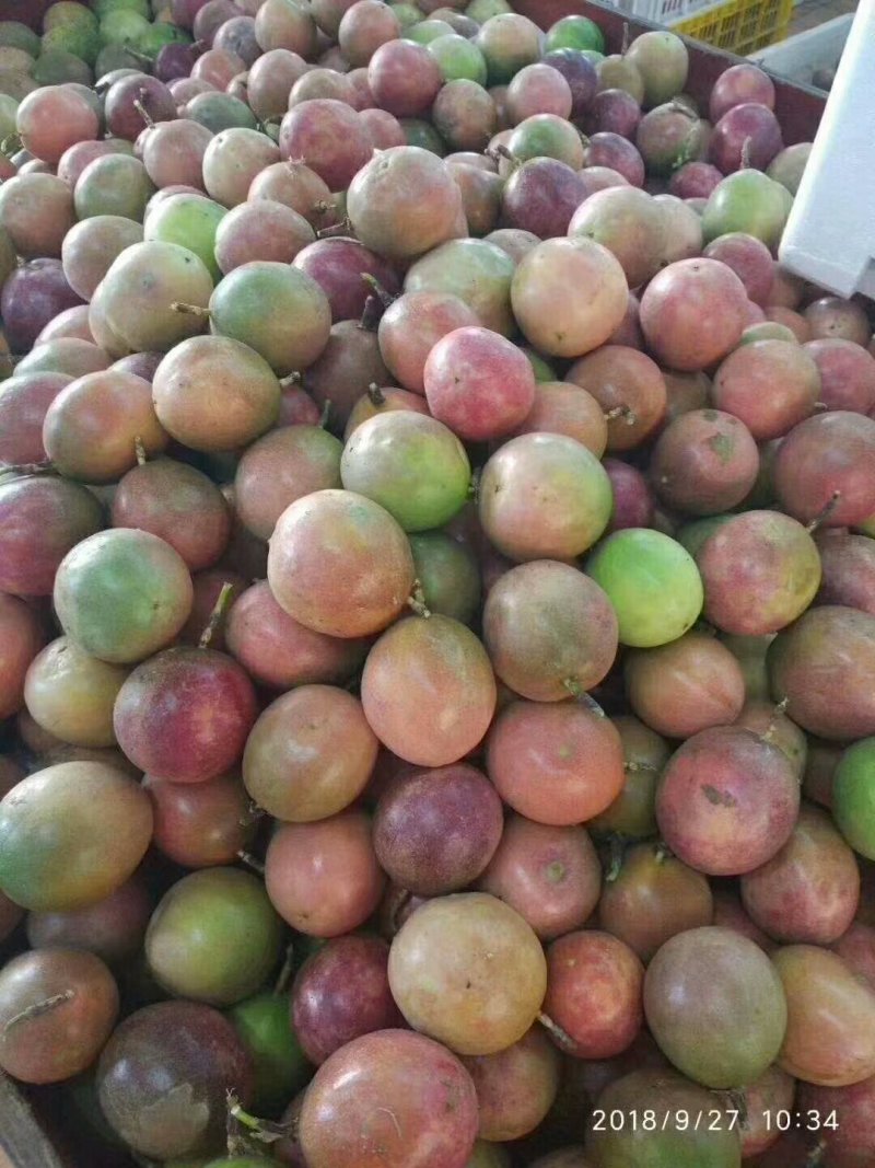 百香果