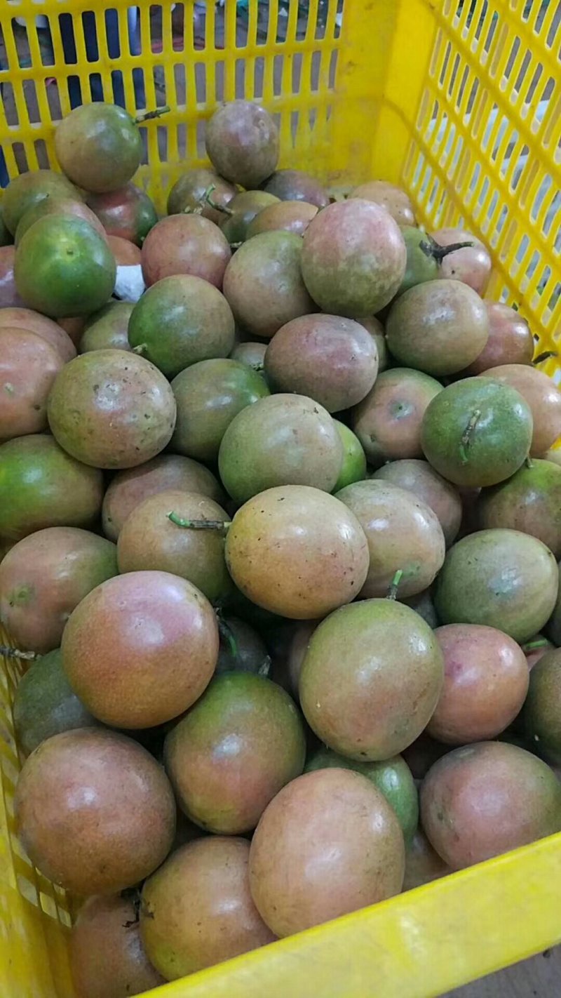 百香果