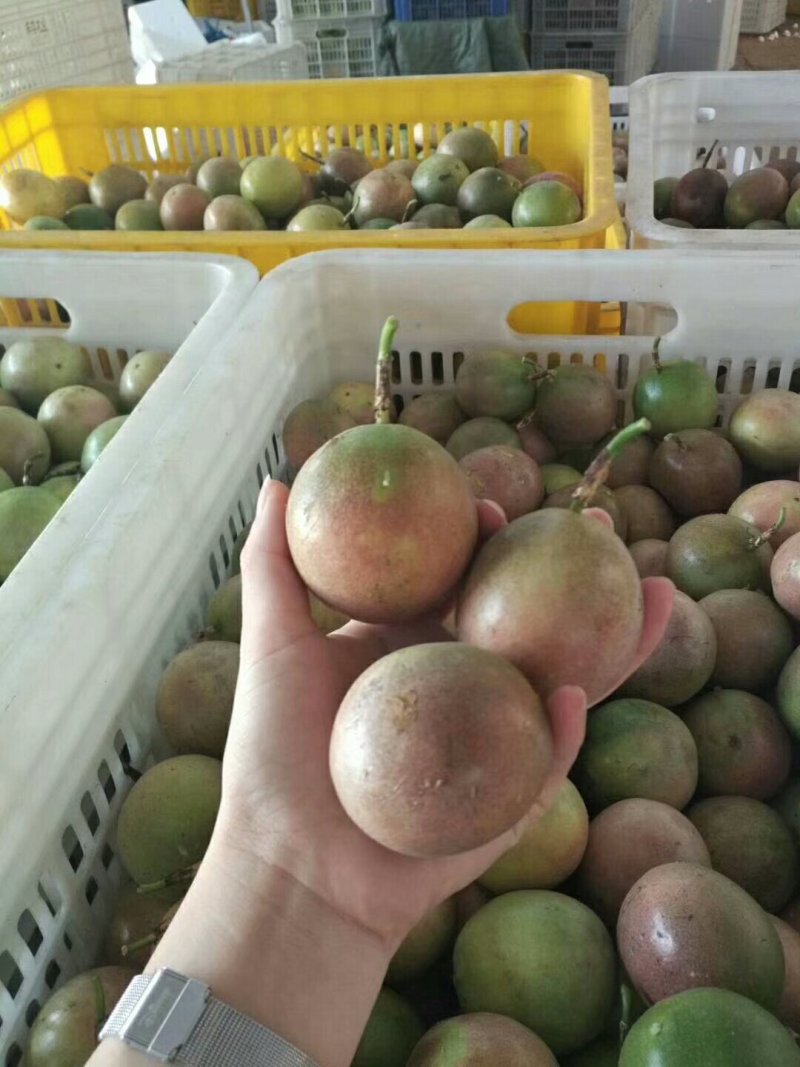 百香果