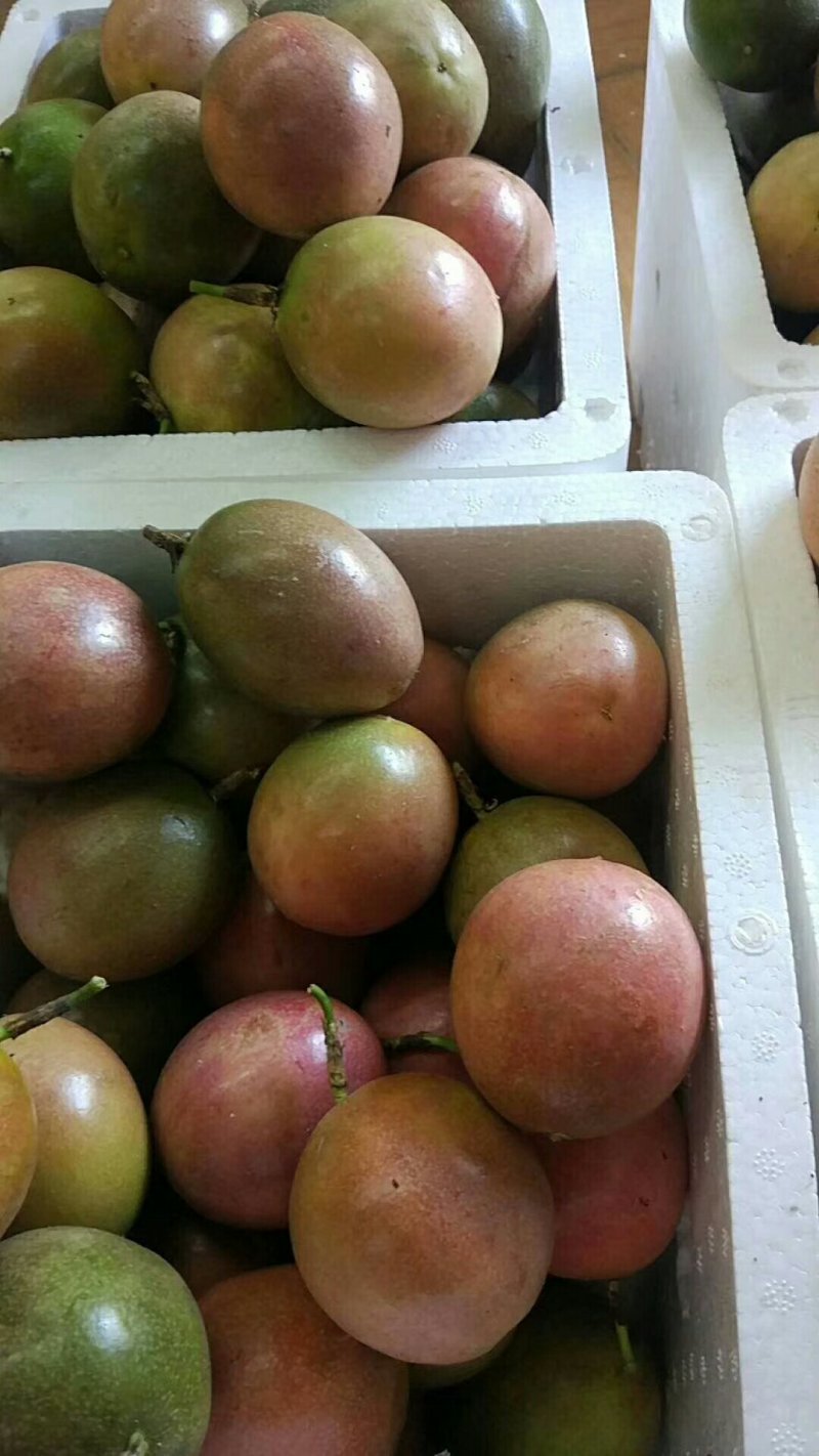 百香果
