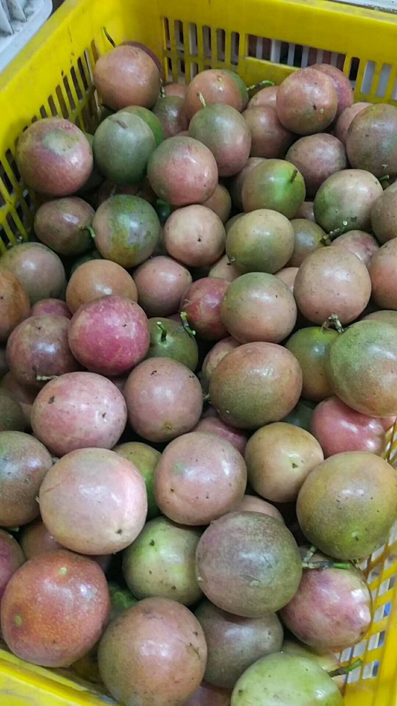 百香果