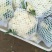 白面青梗松花菜23斤青梗白面大量供应各大批发市场