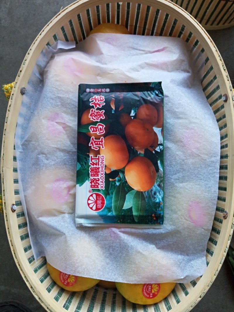 宜昌蜜橘，精品包装，和散装