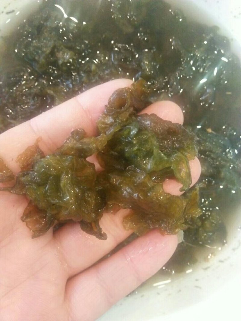甘肃野生地皮菜，营养丰富