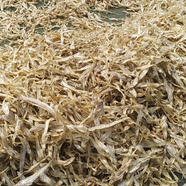 毛刀鱼干产地直销