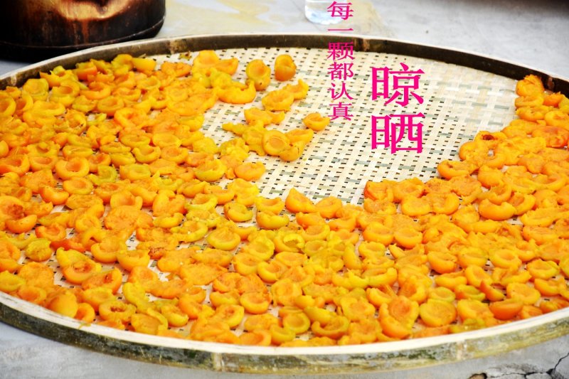 杏干