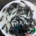 淡水石斑鱼鱼苗
