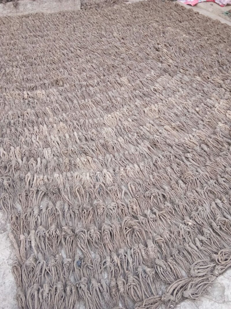 甘肃陇南药材种植基地