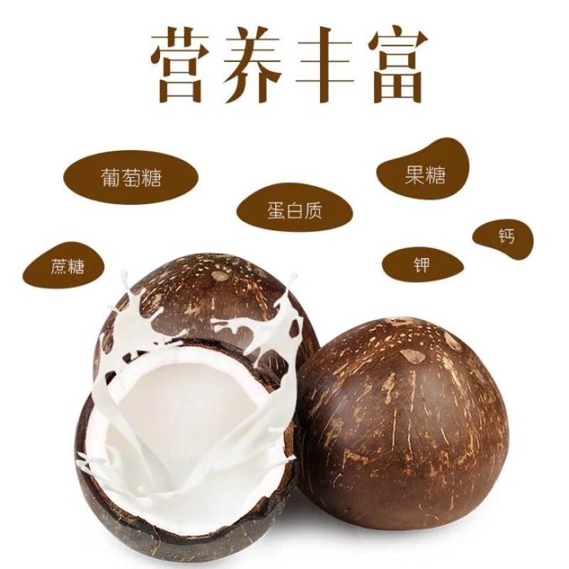 椰青1.5~2斤