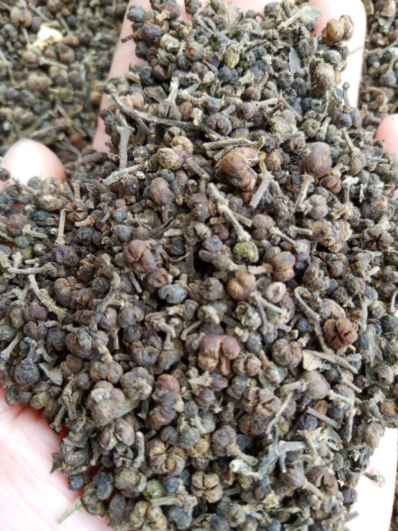 吴茱萸大花中花