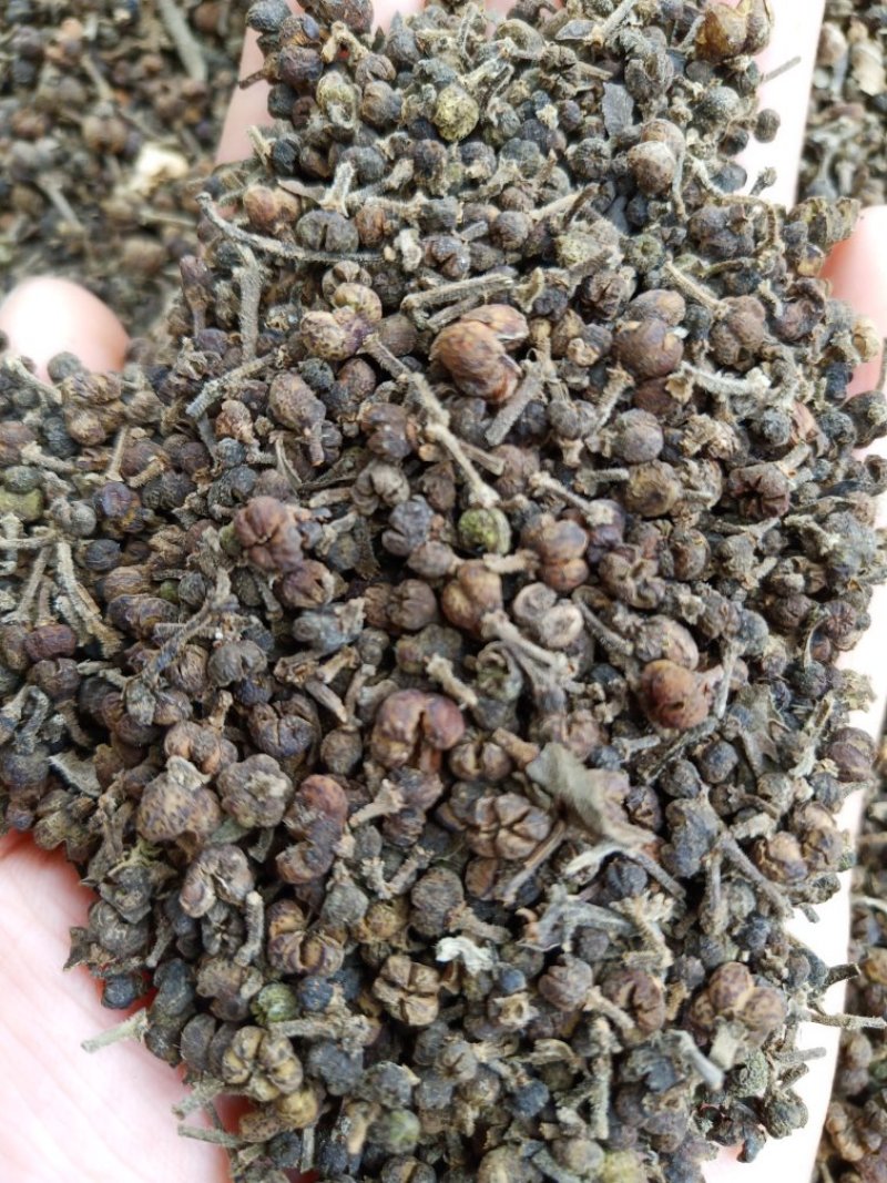 吴茱萸大花中花