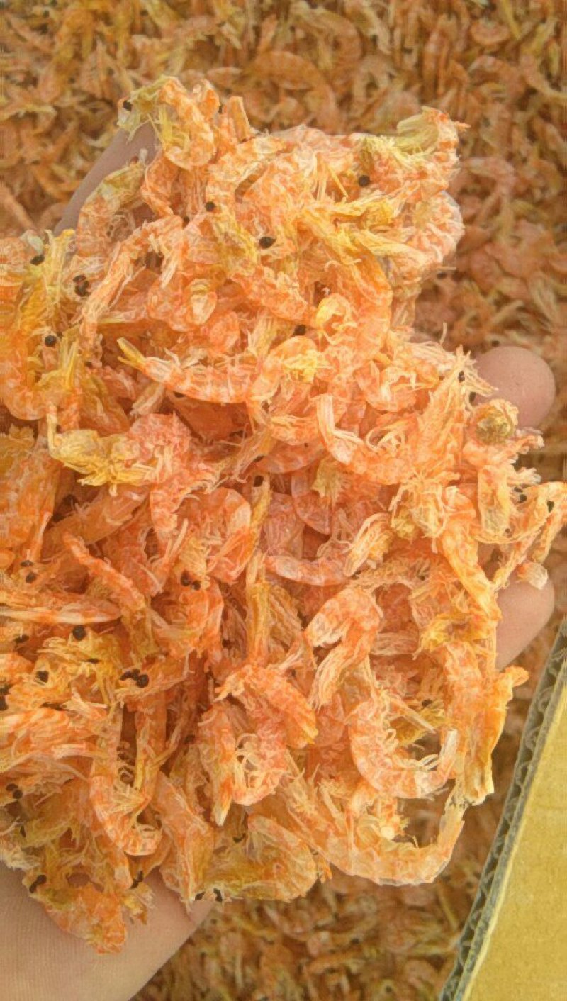 常年供应南极磷虾大虾皮，无盐淡干，各种大中小规格齐全