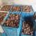 8520芋头大量供货了，精品货源，抓紧联系了