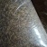 干品黄粉虫