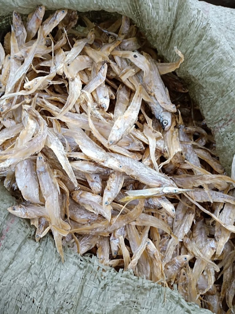 大量批发毛刀干鱼