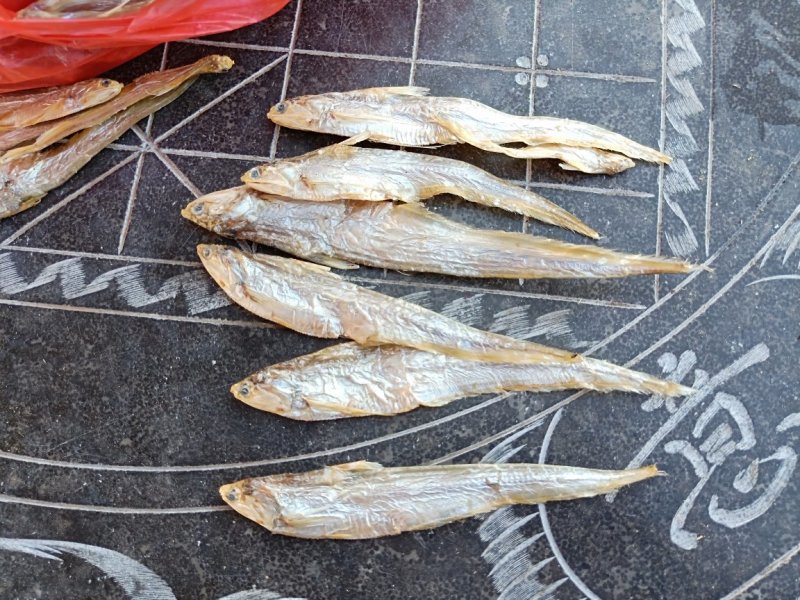 大量批发毛刀干鱼