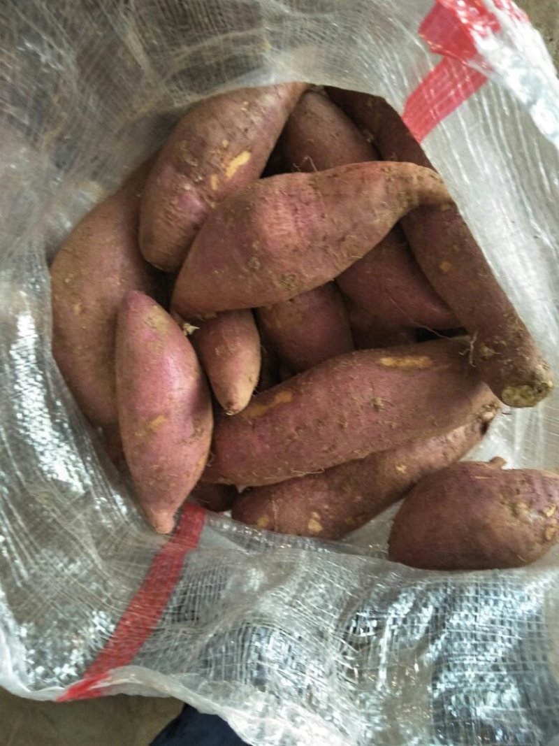《热卖推荐》红薯山东济薯产地直采香甜个大全国发货