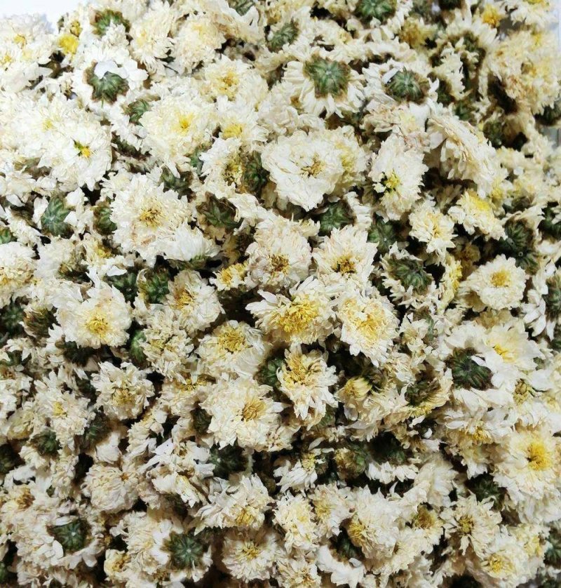 黄山贡菊，七月菊，北京菊，金丝皇菊，新货上市，量大批发