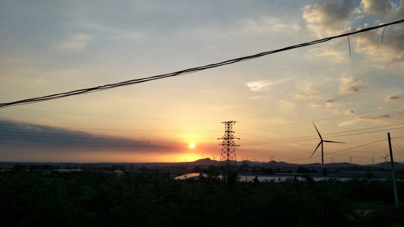 山东青岛金秋红蜜75起步糖分15表光靓