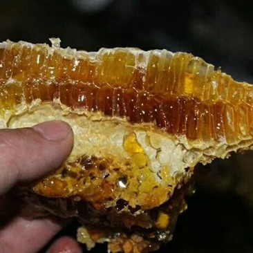 麦芽糖