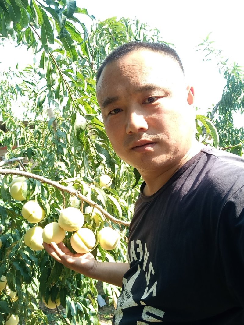 帅师香桃苗，，，，，，，，，，，，，，，，，