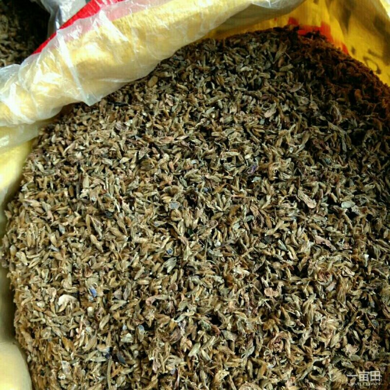 野生葛花，产麻阳西晃山“天下第一山，”晒干金黄色颗粒清洁