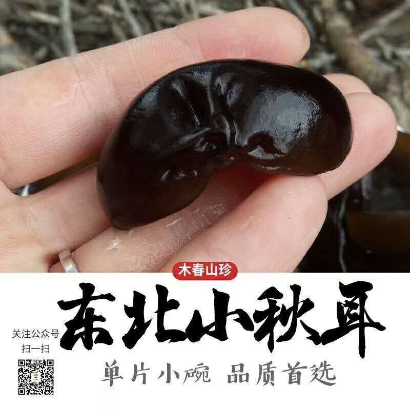 辽宁省本溪市秋木耳，批发，零售