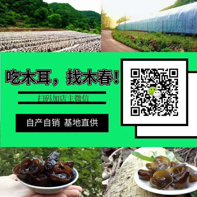 辽宁省本溪市秋木耳，批发，零售